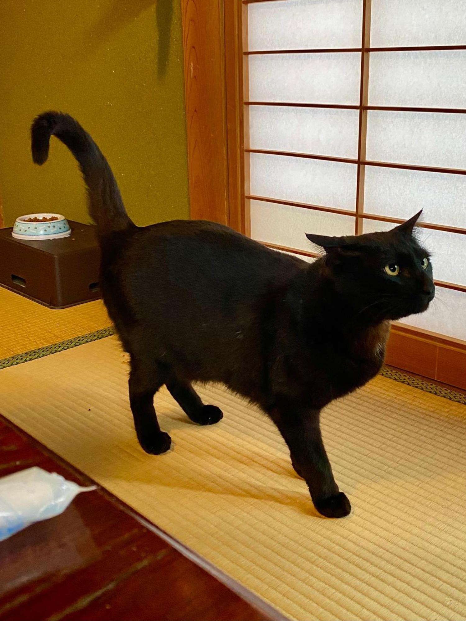 古民家ゲストハウス大ちゃん家 Appartement